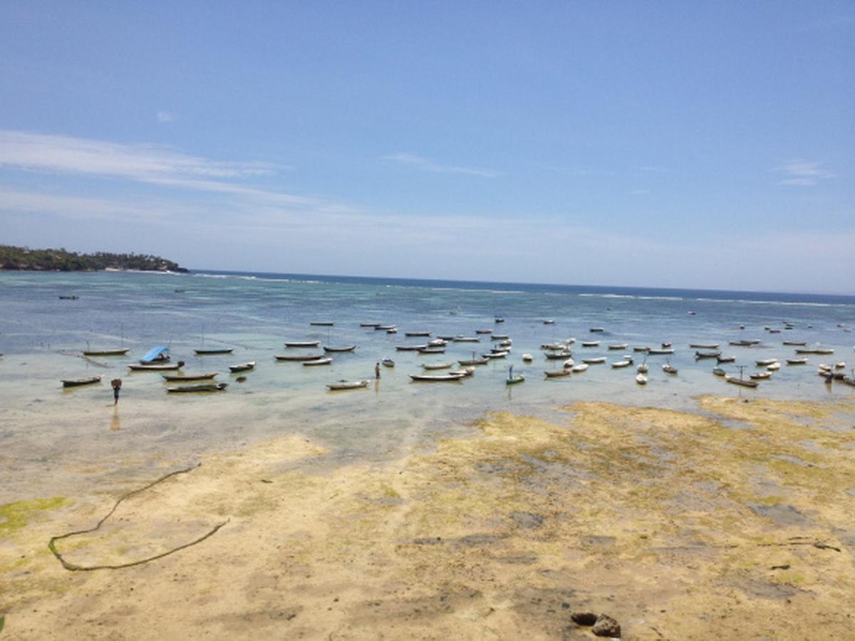 Lembongan Hostel Nusa Lembongan Dış mekan fotoğraf